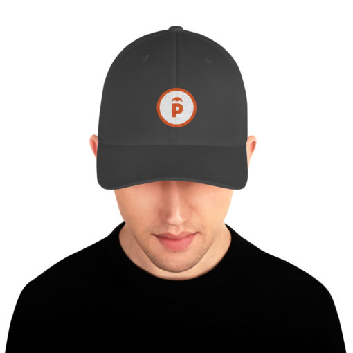 Parachute Logo Structured Twill Cap - Image 3