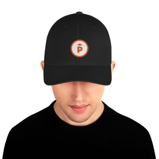 Parachute Logo Structured Twill Cap - Image 4