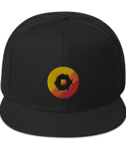 DYT Logo Snapback Hat