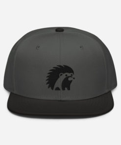 Hedgey Snapback Hat