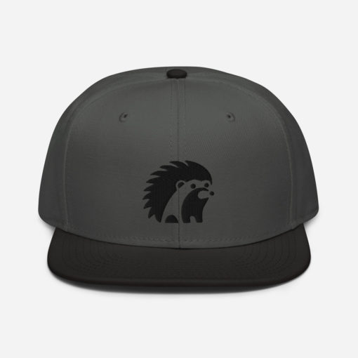 Hedgey Snapback Hat