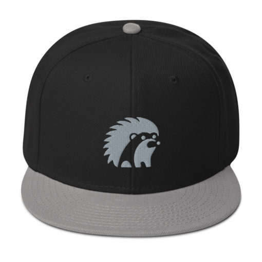 Hedgey Snapback Hat - Image 4
